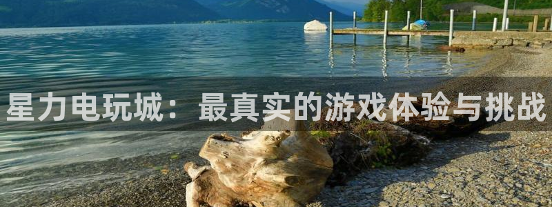 高德娱乐app下载：星力电玩城：最真实的游戏体验与挑战