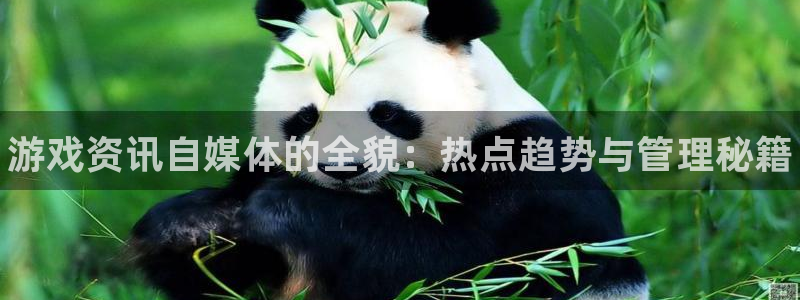 高德娱乐网页登录入口下载：游戏资讯自媒体的全貌：热点趋势与管