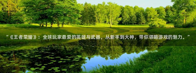 高德娱乐平台：“《王者荣耀》：全球玩家最爱的英雄与武器，从新