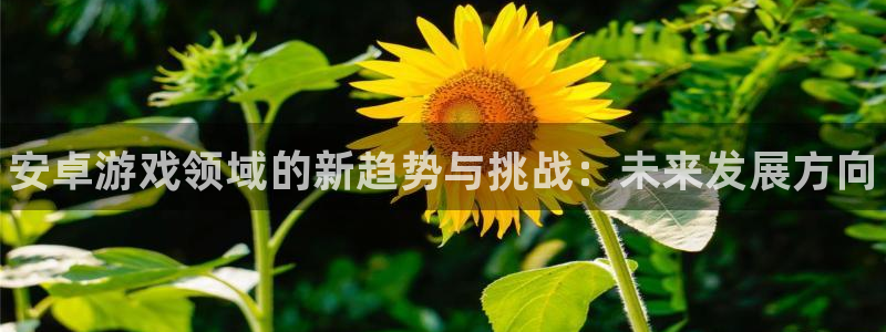 高德娱乐平台注册开户：安卓游戏领域的新趋势与挑战：未来发展方