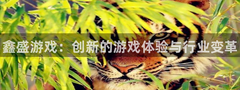 高德娱乐平台：鑫盛游戏：创新的游戏体验与行业变革