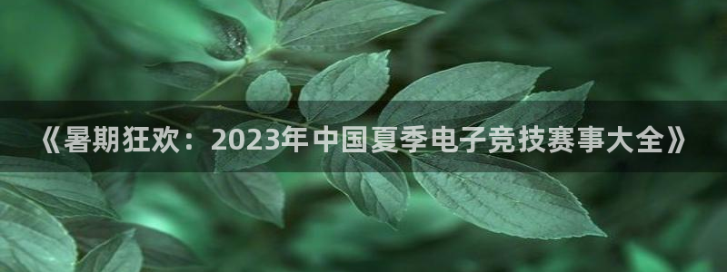 高德娱乐注册登录平台：《暑期狂欢：2023年中国夏季电子竞技