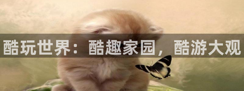 高德娱乐平台