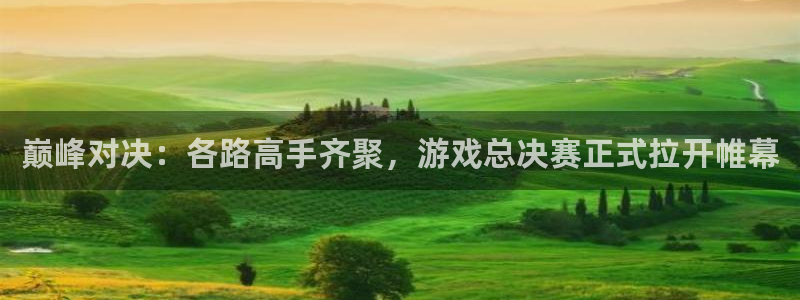 高德娱乐游戏：巅峰对决：各路高手齐聚，游戏总决赛正式拉开帷幕