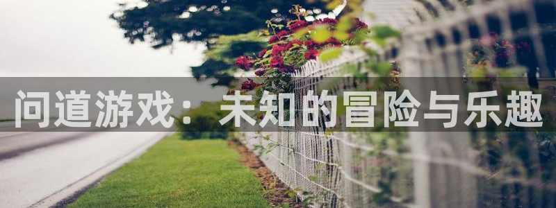 高德娱乐4招商：问道游戏：未知的冒险与乐趣