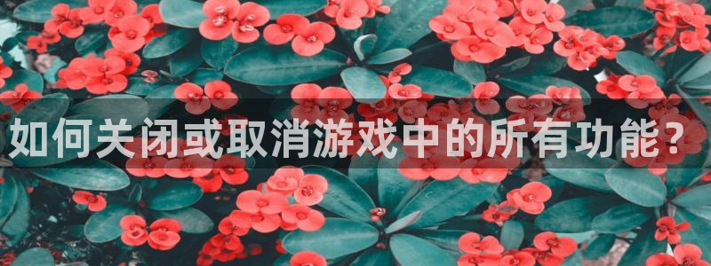 高德娱乐平台注册：如何关闭或取消游戏中的所有功能？