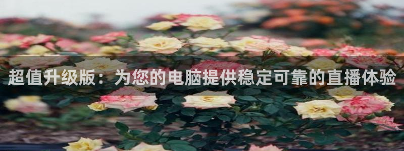 英超直播小九：超值升级版：为您的电脑提供稳定可靠的直播体验