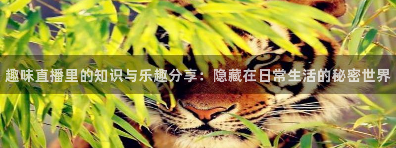 足球免费直播高清直播小九直播：趣味直播里的知识与乐趣分享：隐藏在日常生活的秘密世界