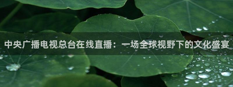 nba比赛直播免费观看直播小九直播：中央广播电视总台在线直播：一场全球视野下的文化盛宴