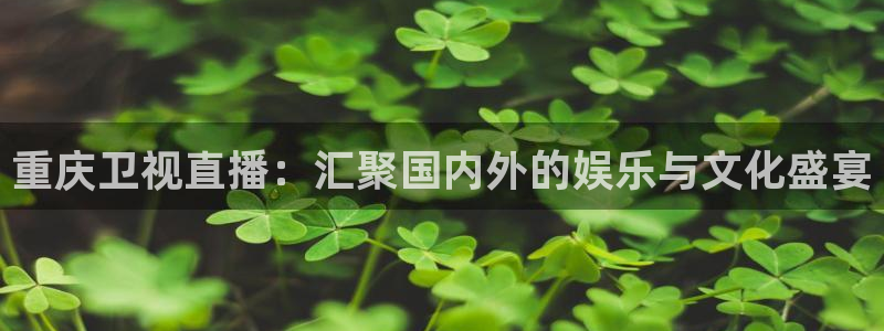 小九直播免费观看：重庆卫视直播：汇聚国内外的娱乐与文化盛宴