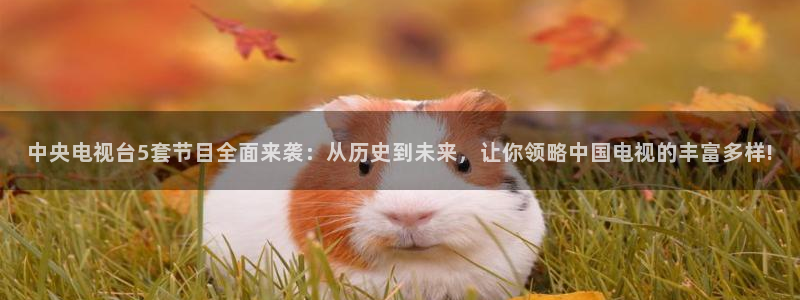 小九直播足球：中央电视台5套节目全面来袭：从历史到未来，让你领略中国电视的丰富多样!