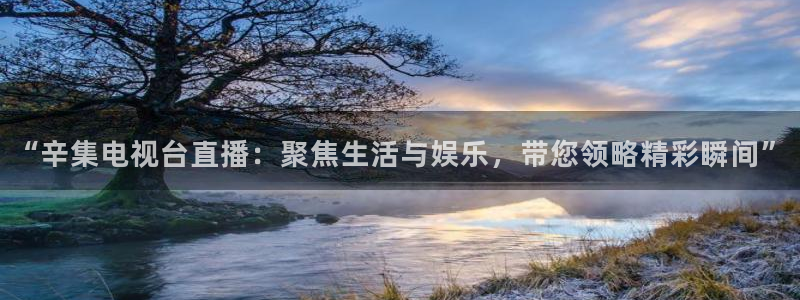小九免费直播在线观看直播足球：“辛集电视台直播：聚焦生活与娱乐，带您领略精彩瞬间”