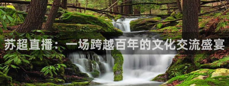 nba小九直播在线观看：苏超直播：一场跨越百年的文化交流盛宴