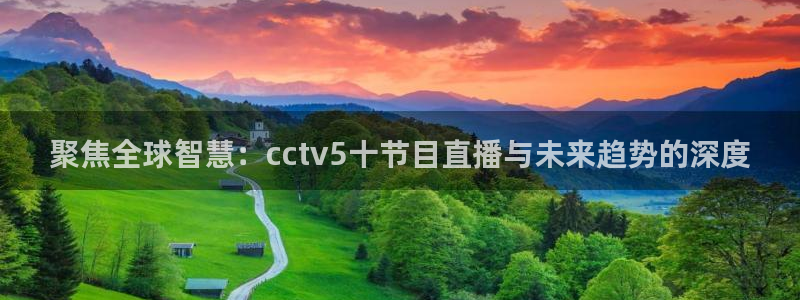 小九直播官网：聚焦全球智慧：cctv5十节目直播与未来趋势的深度