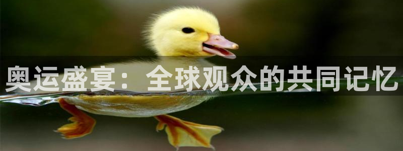 中超小九免费直播：奥运盛宴：全球观众的共同记忆