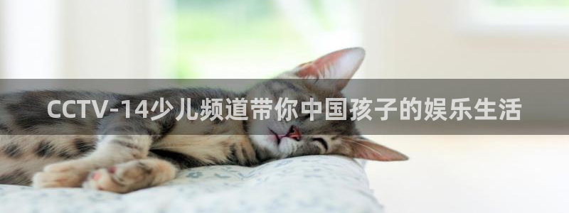 小九足球直播免费观看：CCTV-14少儿频道带你中国孩子的娱乐生活